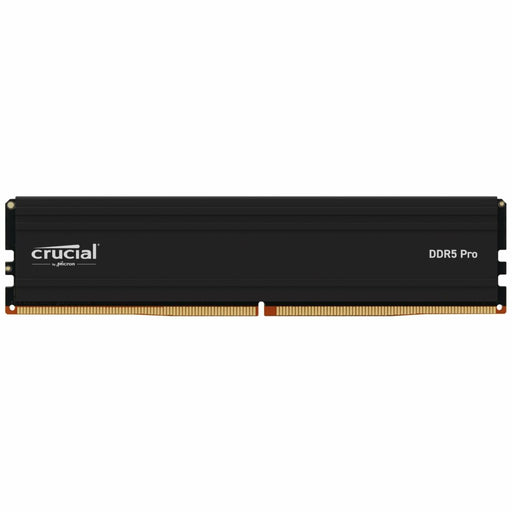 Memoria RAM Crucial CP24G60C48U5