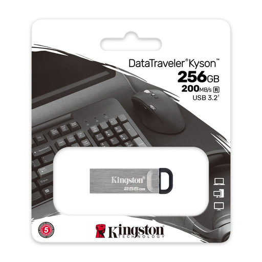 Memoria USB Kingston DTKN/256GB Negro 256 GB