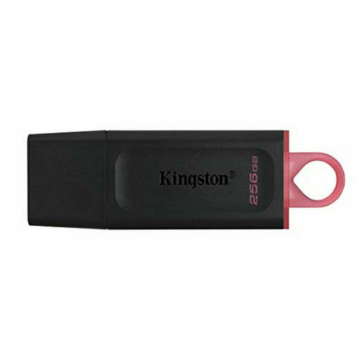 Memoria USB Kingston DTX/256GB Negro 256 GB