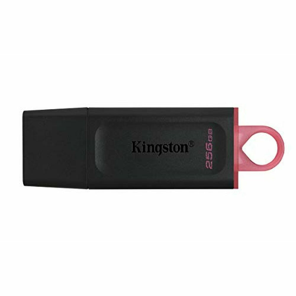 Memoria USB Kingston DTX/256GB Llavero Negro 256 GB