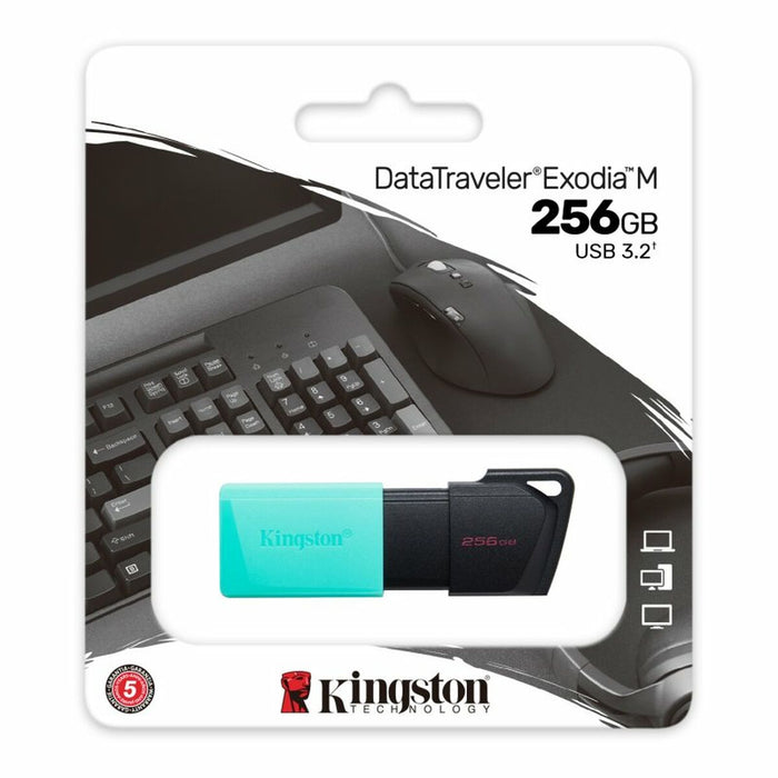 Memoria USB Kingston DataTraveler DTXM 256 GB 256 GB