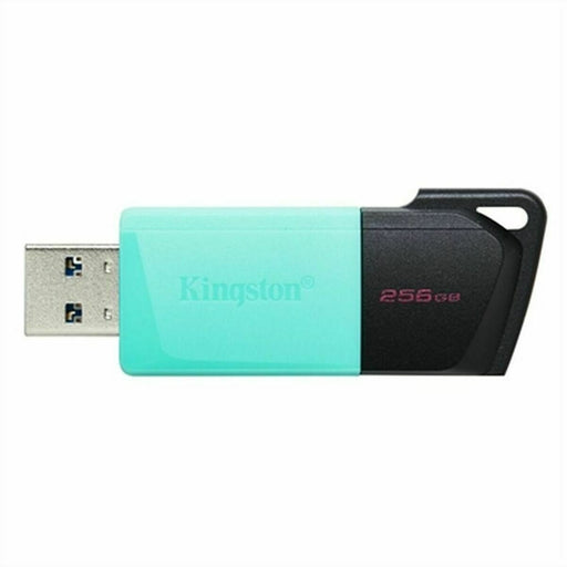 Memoria USB Kingston Exodia M Negro 256 GB