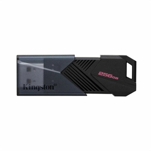 Memoria USB Kingston DTXON/256GB Negro 256 GB