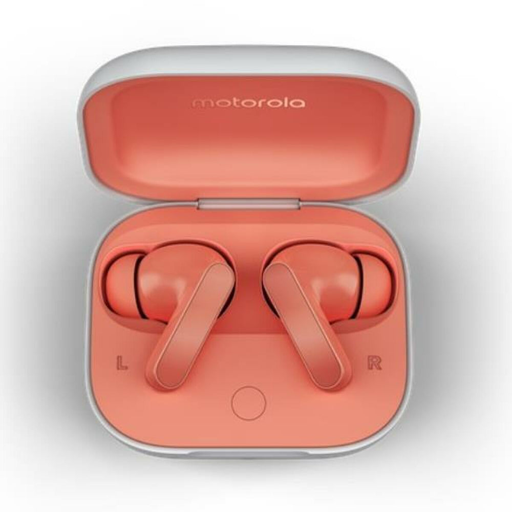 V3H1BA42423E65E8A377AFAB6BA70D396FER5055797P1