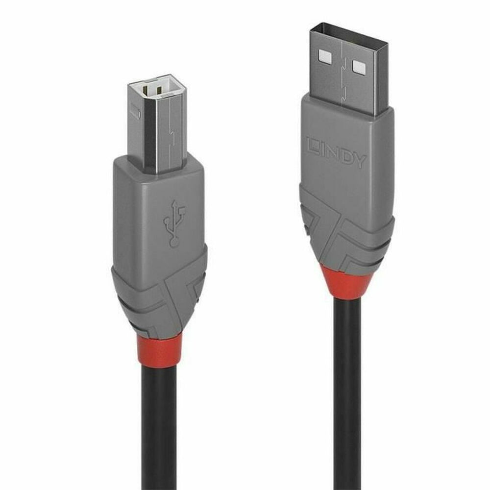 Cable USB A a USB B LINDY 36672 Negro 1 m