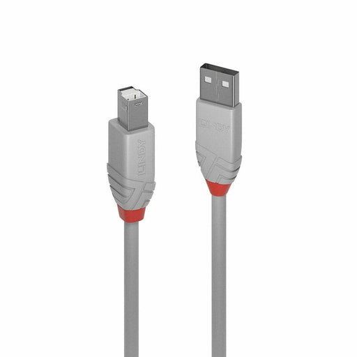 Cable USB A a USB B LINDY 36682 Gris
