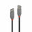 Cable USB LINDY 36700 Negro