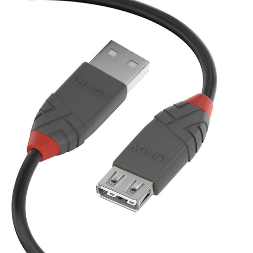 Cable USB LINDY 36702 Negro
