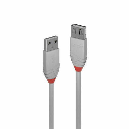 Cable USB LINDY 36712 Gris 1 m
