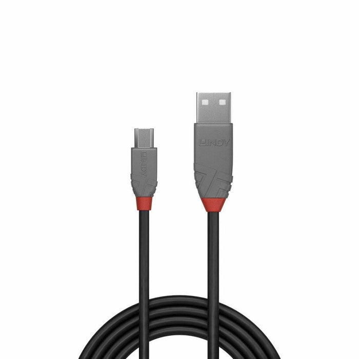 Cable USB LINDY 36733 2 m Negro