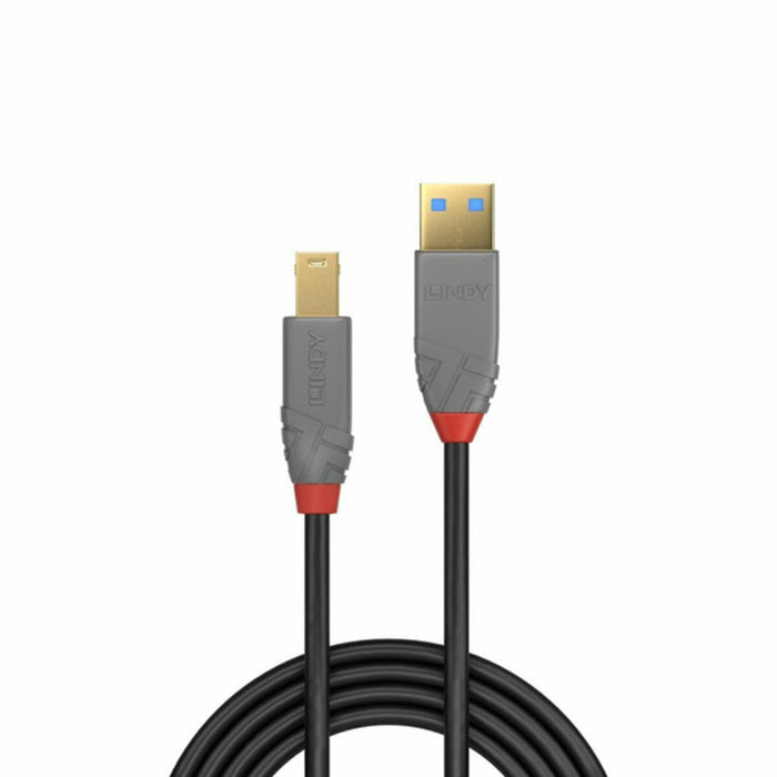 Cable USB LINDY 36744 5 m Negro Gris
