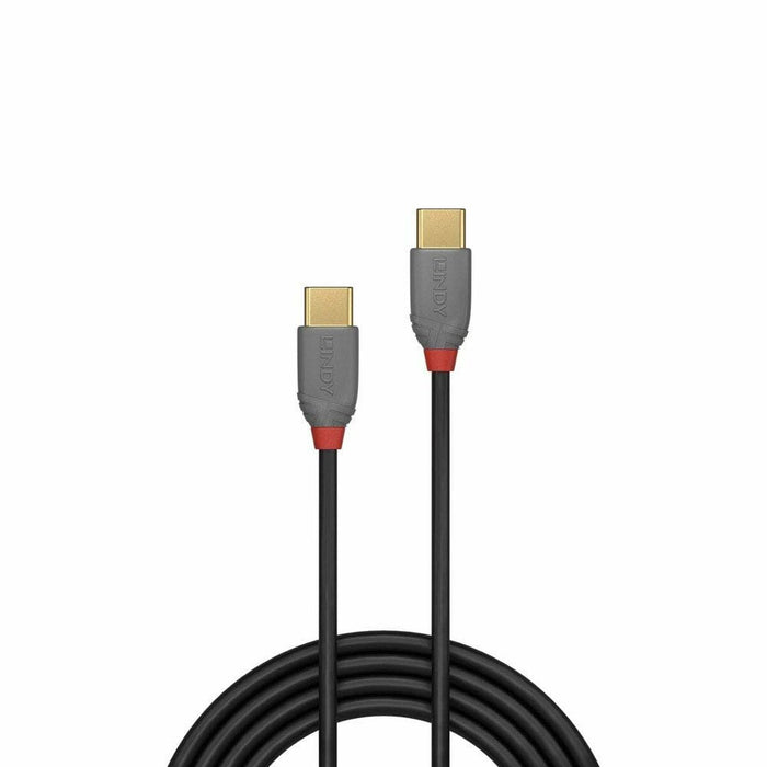 Cable USB C LINDY 36872 2 m Negro Gris