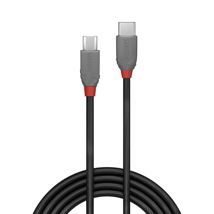 Cable USB LINDY 36892 Negro Negro/Gris 2 m