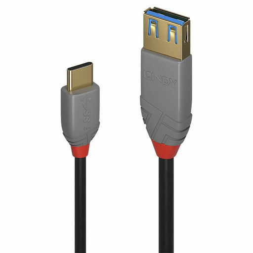 Adaptador USB C a DisplayPort LINDY 36895 150 cm Negro