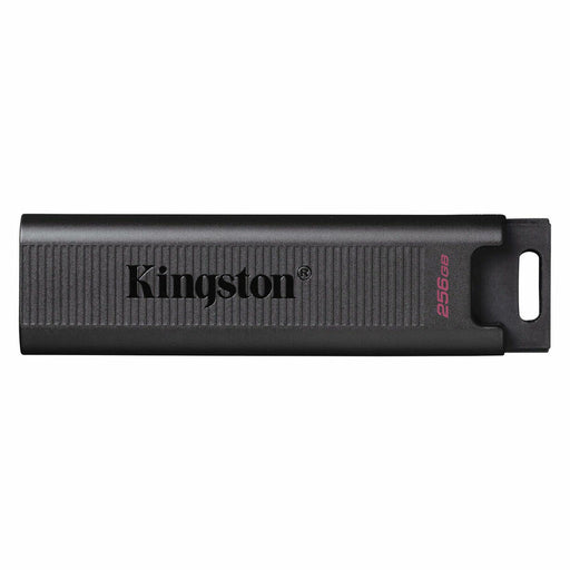 Memoria USB Kingston DTMAX 256 GB