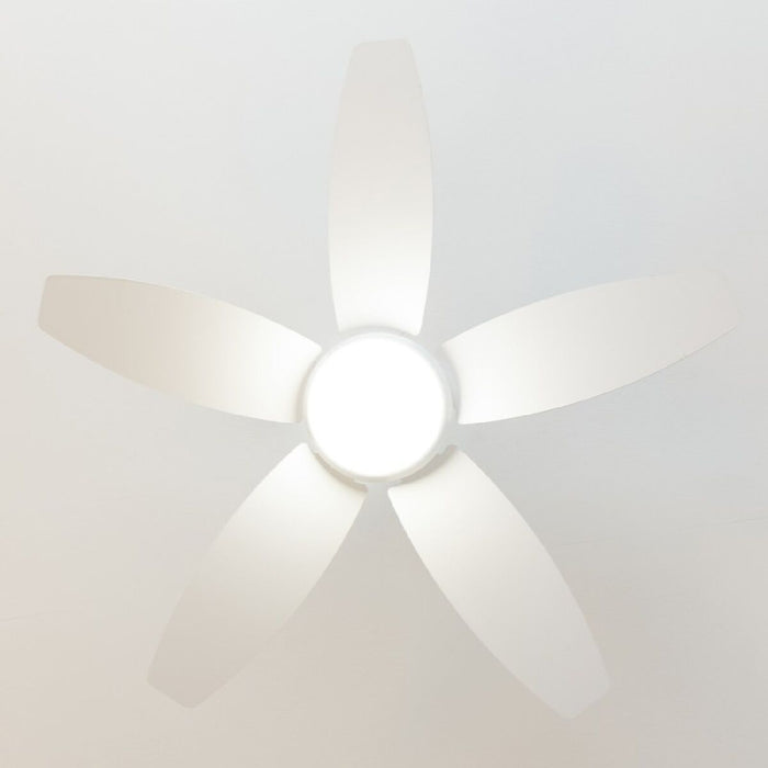 V4HBF3E6DCCB574B40C06A9533F305F52B1R5321981P4