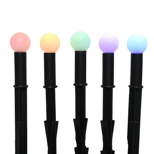 V6H66B49946C9334B0E99F88F7BB470C38FR4959185P1