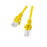 Cable de Red Rígido UTP Categoría 6 Lanberg Amarillo